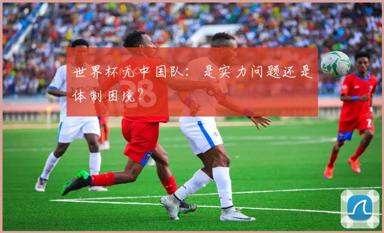 世界杯无中国队：是实力问题还是体制困境？
