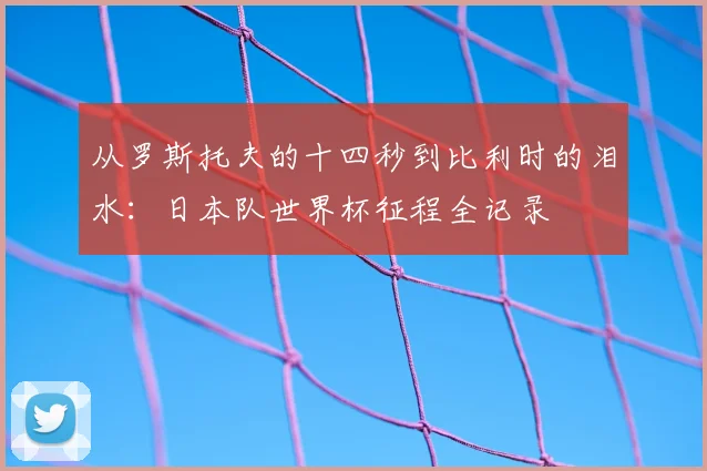 从罗斯托夫的十四秒到比利时的泪水：日本队世界杯征程全记录