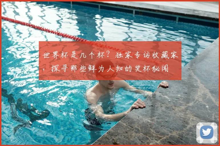 世界杯是几个杯？独家专访收藏家，探寻那些鲜为人知的奖杯秘闻